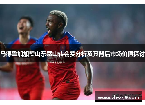 马德鲁加加盟山东泰山转会费分析及其背后市场价值探讨