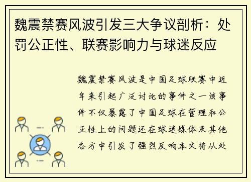 魏震禁赛风波引发三大争议剖析：处罚公正性、联赛影响力与球迷反应